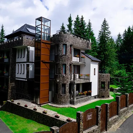 Castelul De Piatra Păltiniş